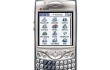 palm650